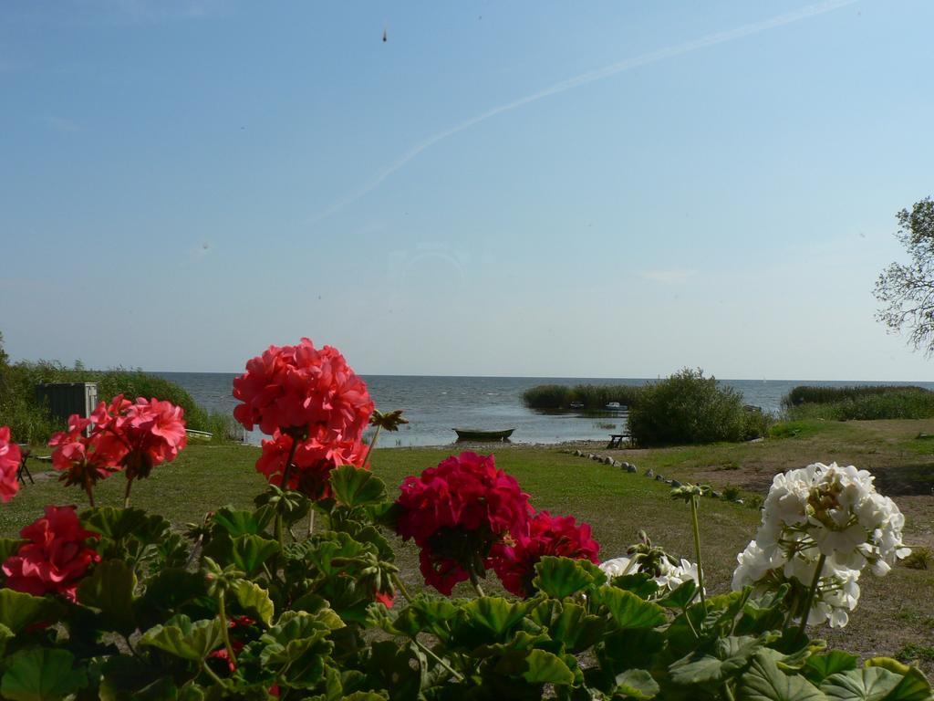 Hostel Kalameeste Maja 무스트베 객실 사진