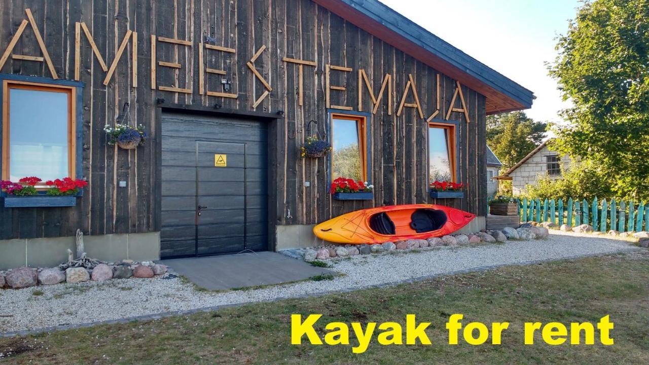 Hostel Kalameeste Maja 무스트베 외부 사진